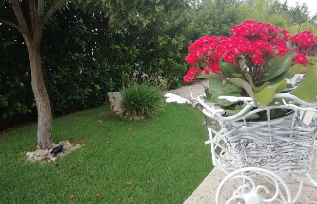 Villetta Dote - Photo 71