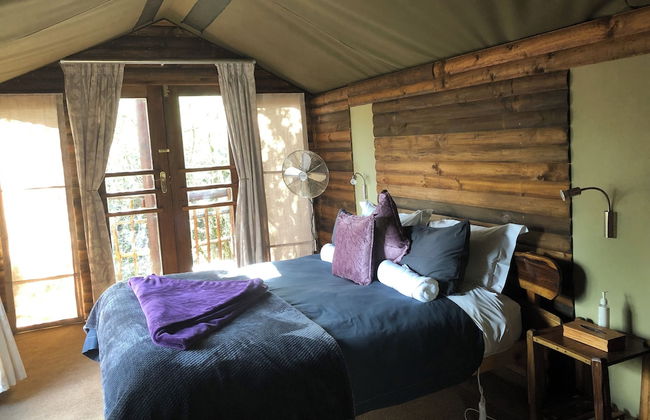 Teniqua Treetops - Foto 19