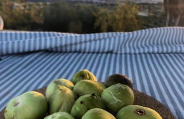 Monte da Rocha-Mãe - Foto 14