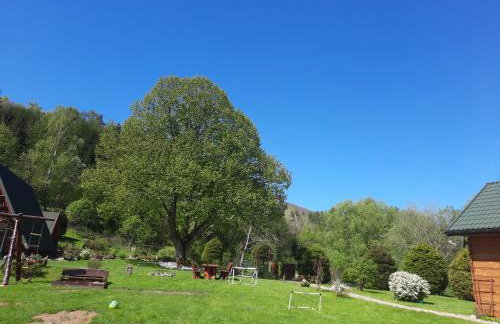 Domki pod Lipą. - Foto 45