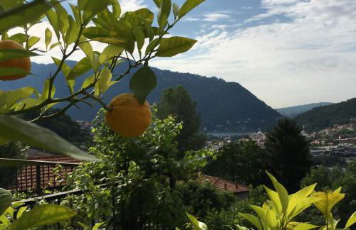 Country House Cozzena - Foto 7