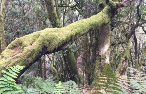 Vivienda Vacacional Balcón de La Villa - Foto 52