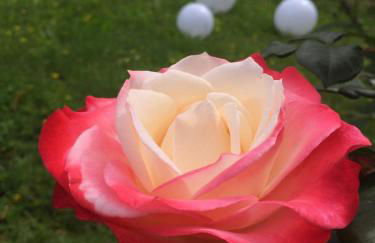 Traumparadies - Photo 66