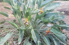 Rifugio della Pace Piano terra e Primo Piano - Photo 80