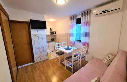 ĆOSIĆ APARTMANI IGRANE - Photo 10
