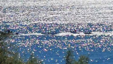 Vivito apartment - Photo 5