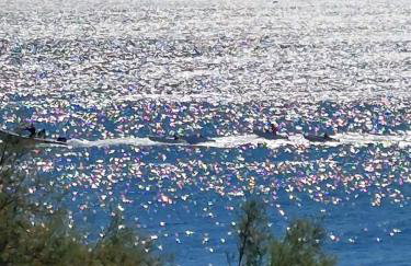 Vivito apartment - Foto 5