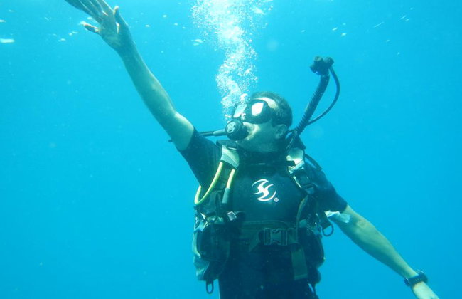 Beneath the Blue: Dive into the Wild Pacific - Photo 6