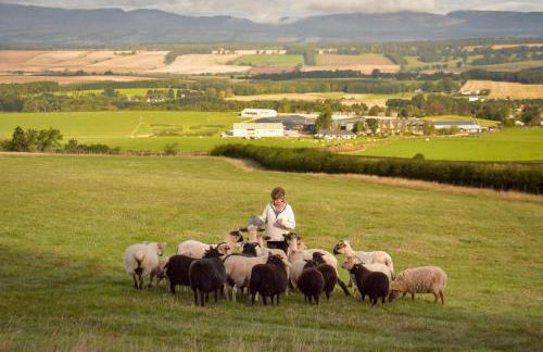 The Steading at Pitmeadow Farm - Photo 8