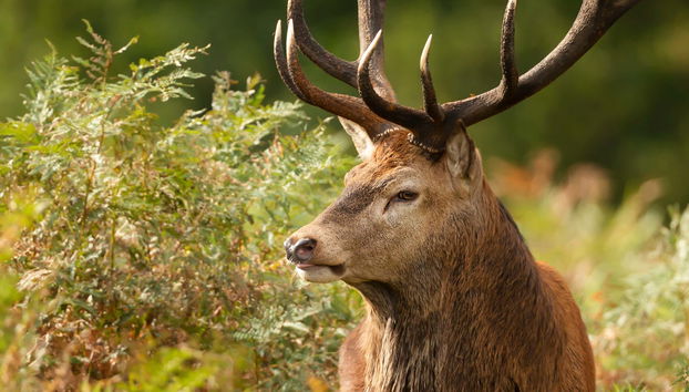Tour in Lladorre - Photo 4