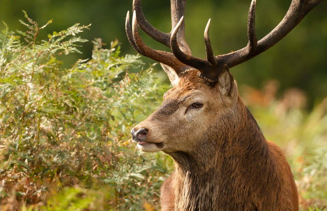 Tour in Lladorre - Photo 4