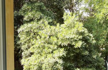 Casa Felci - Foto 12