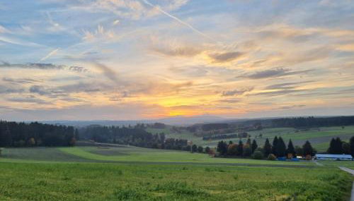 Schöne 2-Zimmer Ferienwohnung - Foto 3