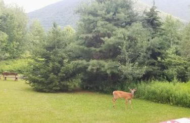 Hunter Mt Amazing Views Catskills! 5 Bedrooms! Best Choice! - Foto 15