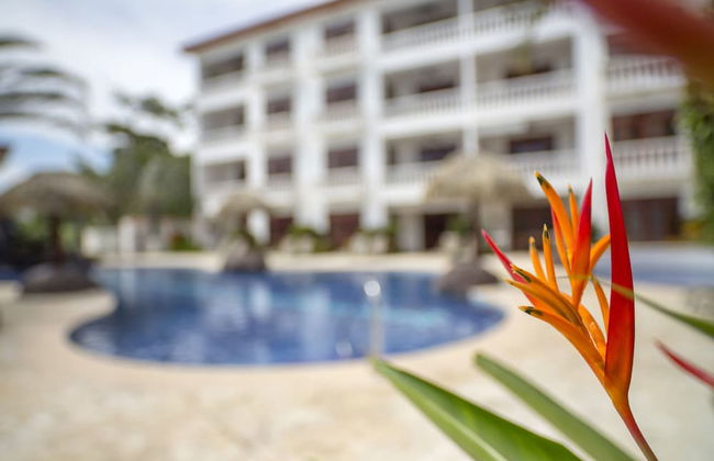 La Paloma Blanca by Lost Beach - Foto 30