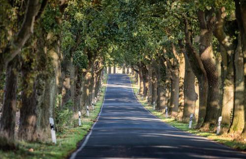 Blinkfüer am Kap Arkona - Foto 9