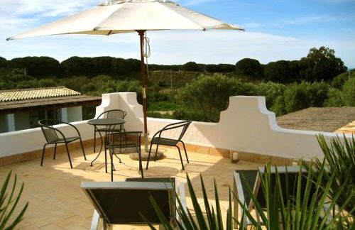 Finca Meerlust - Las Ballenas - Foto 17