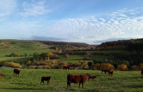 Gite Aux Lauriers - Foto 48