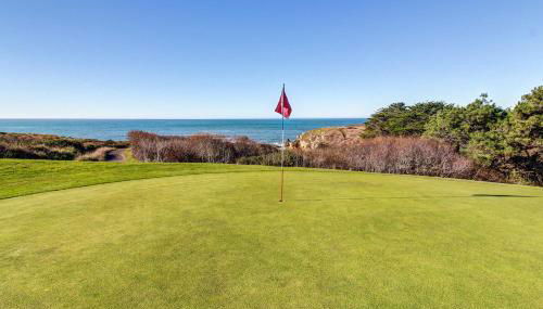 Wild Meadow - Foto 2