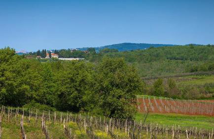 Beautiful Villa Onit with outdoor pool in Vizinada - Foto 9