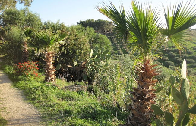 L Agave e la Palma Nana - Foto 18