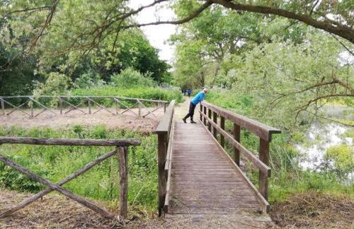 House in Seggio, peace in the green heart of Umbria - Foto 5