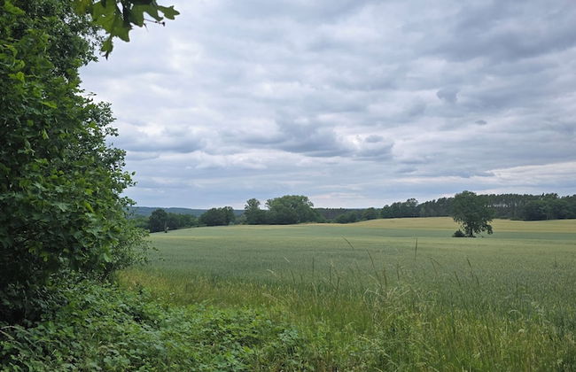 Agroletnica Country house - Foto 59