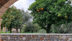 Galini Stone House - Photo 5