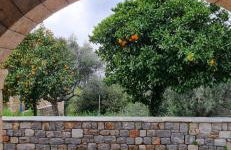 Galini Stone House - Foto 5