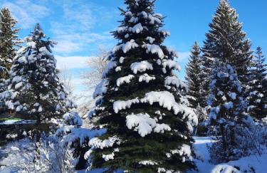 Dworek nad Potokiem - Photo 30