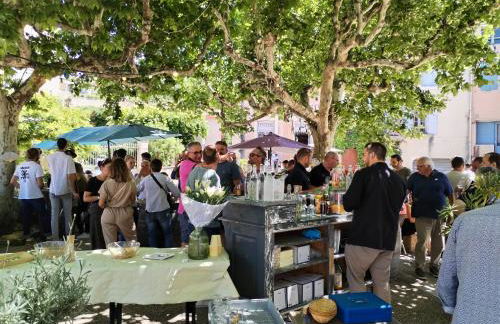 Mes Maisons - Holiday Villa in Drome Provencale - Villa Bellevue Venterol 26110 - Foto 34