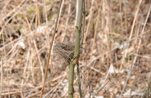 Ferienwohnung Blaumeise - Foto 53