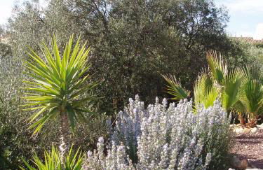La Poussada, maisons écologiques avec vue mer - Foto 41