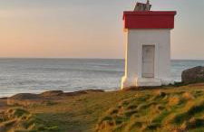 Les hortensias de papy - Foto 17