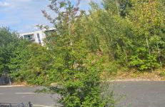 Lawnswood Lodge - Foto 24