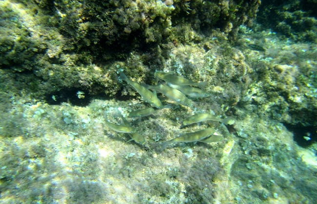 Sea of Eden - Foto 20