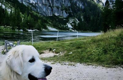 Casetta del Caregon a Vinigo - Foto 33