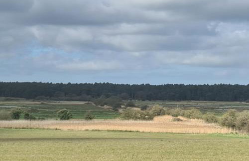Brisley North Norfolk cosy cottage garden pub and walks - Foto 42