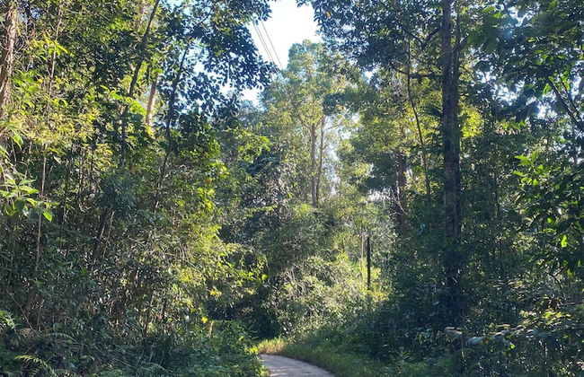 Kurunduketiya Private Rainforest Resort - Photo 24