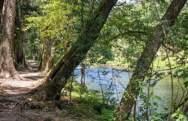 Holiday Home in Arcozelo With Terrace - Foto 21