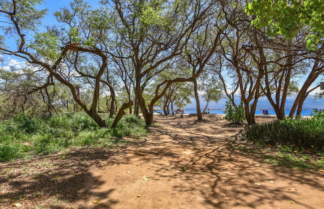 Maalaea Banyans 203 - Foto 6