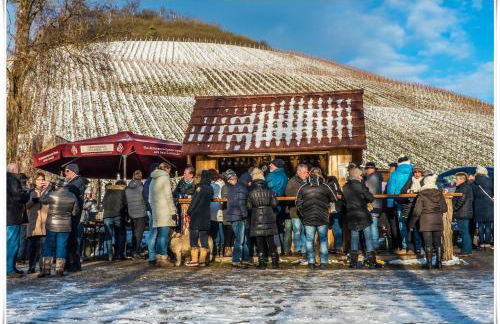 Villa in Seenahe Badesee Ehmetsklinge - Foto 48