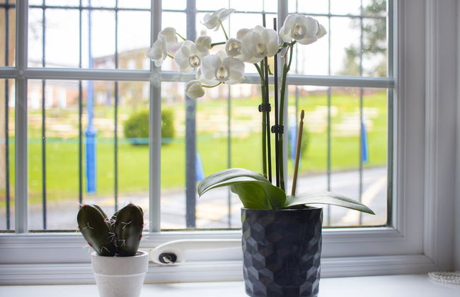 Old Lodge Apartment - Photo 14