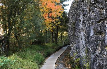 Casa Marian Villanua - Photo 60