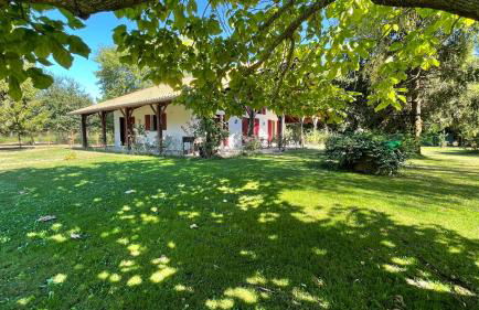 Villa au milieu des pins / bord du lac - Foto 2