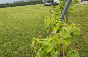 Le Mas Del Cargol - Foto 32