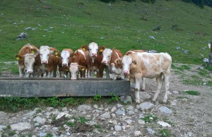 3-Zi Atelierdachwohnung mit Bergblick Seenähe und 2 Loggia - Foto 11