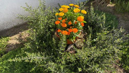 Il Cortile di Adele - Foto 5