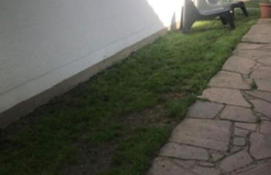 Garten Apartment für Hundefreunde Umzäunt Souterrain - Foto 14