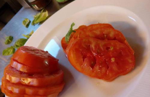 Agriturismo Cignale della Società Agricola Cignale srl - Photo 22